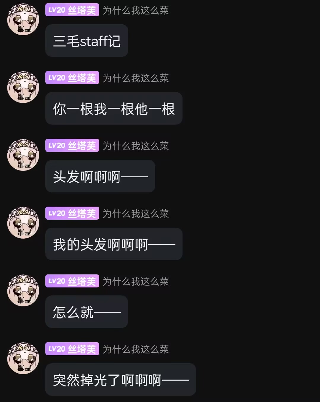 三毛staff记录